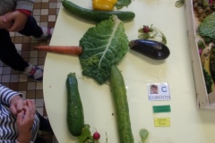 KODAK Digital Still Camera