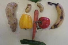 KODAK Digital Still Camera