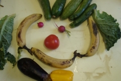 KODAK Digital Still Camera