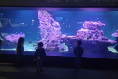 20241216_101129-Copy