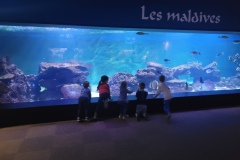 20241216_111020-Copy