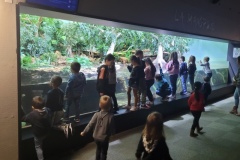 20241216_112321-Copy