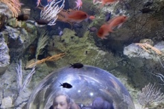 IMG_20241216_101927-Copy