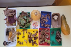 20251010_090118-Copy