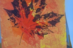 20251014_152902-Copy