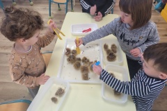 20251017_100145-Copy