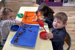 IMG_4078-Copy