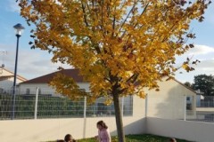 20211108_160411-Copier