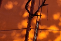 20250523_101042-Copy