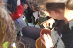 20250523_101844-Copy