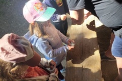 20250523_105556-Copy