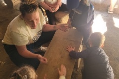 20250523_105605-Copy