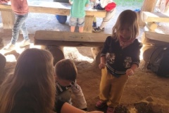 20250523_110645-Copy