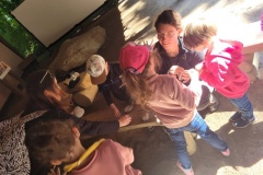 20250523_110651-Copy