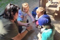 20250523_110654-Copy