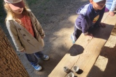 20250523_110702-Copy