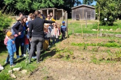 20250523_114713-Copy