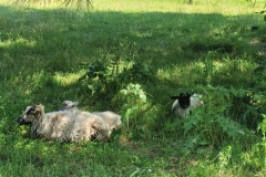 20250523_115759-Copy