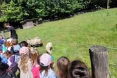 20250523_120004-Copy