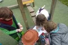 KODAK Digital Still Camera