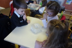 KODAK Digital Still Camera