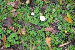 20251216_092200-Copy