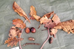 20251216_100013-Copy