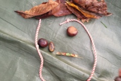 20251216_100101-Copy