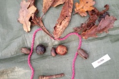 20251216_100143-Copy