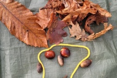 20251216_100211-Copy