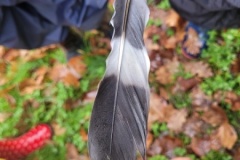 20251216_103939-Copy