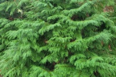 20251216_104132-Copy