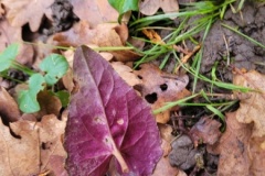 20251216_104353-Copy