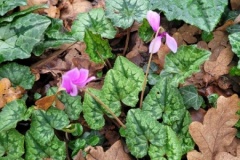 20251216_104542-Copy