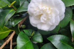 20251216_105155-Copy