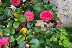 20251216_105346-Copy