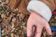 20251216_110548-Copy