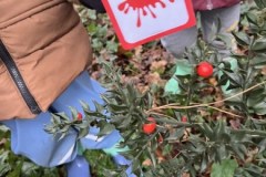 IMG_0605-Copy