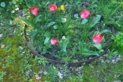 20260319_093918-Copy