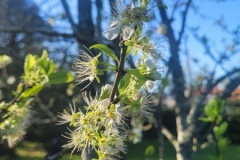 20260319_094036-Copy