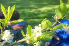 20260319_094038-Copy