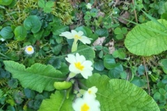 20260319_094151-Copy