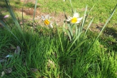 20260319_094646-Copy