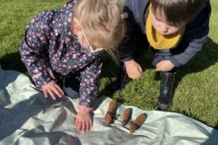 IMG_1426-Copy