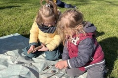 IMG_1428-Copy