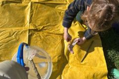 motion_photo_1541867532391465141-Copy