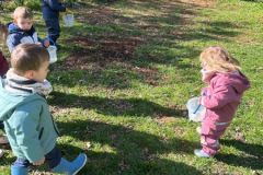 motion_photo_7786634271486028220-Copy