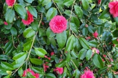 20250401_094126-Copy