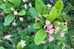 20250401_094316-Copy