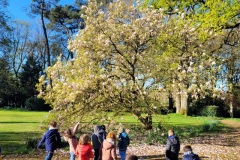 20250401_094500-Copy